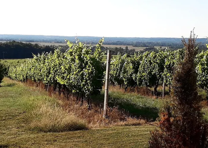 Les Marchettes Bed and breakfast